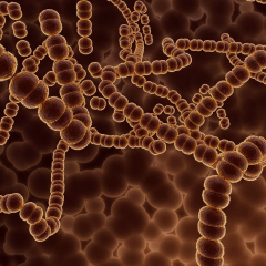 EXOSOMES mechanism of action
