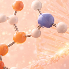 NICOTINAMIDE MONONUCLEOTIDE (NMN)