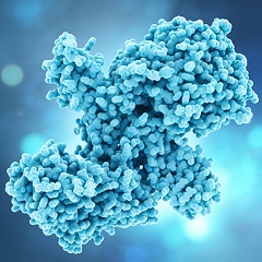 Botulinum toxin type A mechanism of action